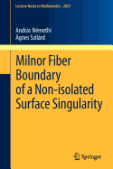 Milnor Fiber Boundary of a Non-Isolated Surface Singularity