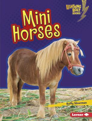 Mini Horses - Silverman, Buffy
