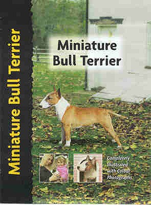 Miniature Bull Terrier - Lee, Muriel P.