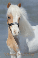 Miniature Horse Diary: Journal Logbook for Miniature Horse Owners