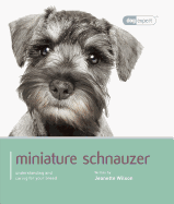 Miniature Schnauzer: Miniature Schnauzer - Dog Expert