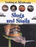 MINIBEASTS SLUGS & SNAILS - 