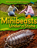 Minibeasts Under a Stone