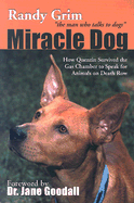 Miracle Dog: How Quentin Survived the Gas Chamber to Speak for Animals on Death Row