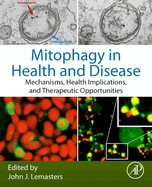 Mitophagy in Health and Disease: Mechanisms, Health Implications, and Therapeutic Opportunities