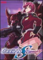 Mobile Suit Gundam Seed, Vol. 2: Destiny - 