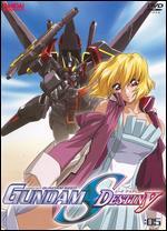 Mobile Suit Gundam Seed, Vol. 5: Destiny