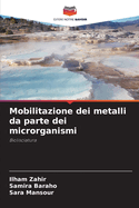 Mobilitazione dei metalli da parte dei microrganismi