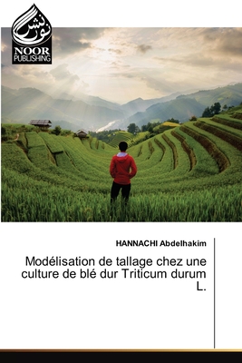 Modlisation de tallage chez une culture de bl dur Triticum durum L. - Abdelhakim, Hannachi