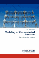Modeling of Contaminated Insulator