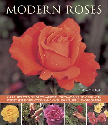 Modern Roses - Mikolajski, Andrew