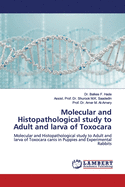 Molecular and Histopathological study to Adult and larva of Toxocara