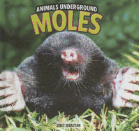 Moles