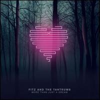 More Than Just a Dream - Fitz & the Tantrums