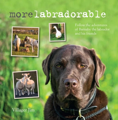 Morelabradorable: Follow the Adventures of Barnaby the Labrador and His Friends - Jim, Villager