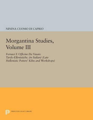 Morgantina Studies, Volume III: Fornaci e Officine da Vasaio Tardo-ellenistiche. (In Italian) (Late Hellenistic Potters' Kilns and Workshops) - Cuomo di Caprio, Ninina