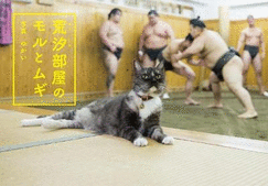 Mori and Mugi, the Sumo Stable Cats
