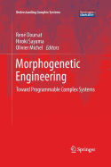 Morphogenetic Engineering: Toward Programmable Complex Systems