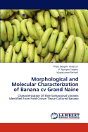 Morphological and Molecular Characterization of Banana CV Grand Naine