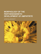 Morphology of the Parthenogenetic Development of Amphitrite