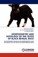 Morphometry and Histology of the Testis of Black Bengal Buck