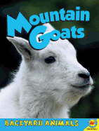 Mountain Goats - Pratt, Laura