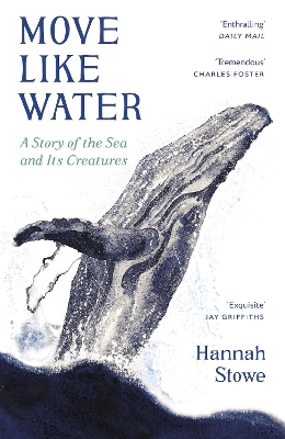 Move Like Water: A Story of the Sea and Its Creatures - Stowe, Hannah