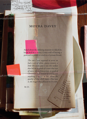 Moyra Davey: Burn the Diaries - Davey, Moyra (Text by), and Strayer, Alison (Text by)