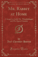 Mr. Rabbit at Home: A Sequel to Little Mr. Thimblefinger and His Queer Country (Classic Reprint)