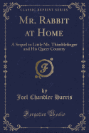 Mr. Rabbit at Home: A Sequel to Little Mr. Thimblefinger and His Queer Country (Classic Reprint)