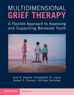 Multidimensional Grief Therapy: A Flexible Approach to Assessing and Supporting Bereaved Youth - Kaplow, Julie B., and Layne, Christopher M., and Pynoos, Robert S.