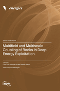 Multifield and Multiscale Coupling of Rocks in Deep Energy Exploitation