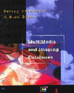 Multimedia and Imaging Databases