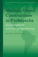 Multiple Object Constructions in P'Orhepecha: Argument Realization and Valence-Affecting Morphology