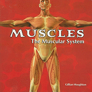Muscles: The Muscular System