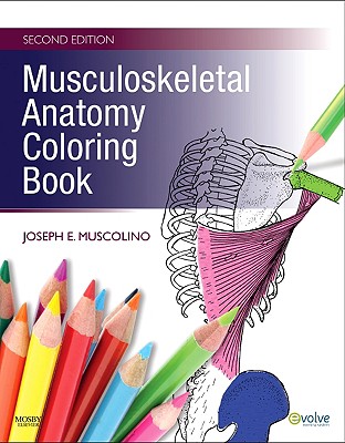 Musculoskeletal Anatomy Coloring Book - Muscolino, Joseph E, Dr., DC