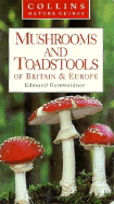 Mushrooms and Toadstools