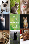 My Address Book: Cat Cover - Address Book for Names, Addresses, Phone Numbers, E-mails and Birthdays