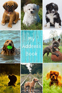 My Address Book: Dog Cover - Address Book for Names, Addresses, Phone Numbers, E-mails and Birthdays