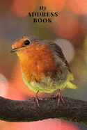 My Address Book: Robin - Address Book for Names, Addresses, Phone Numbers, E-mails and Birthdays