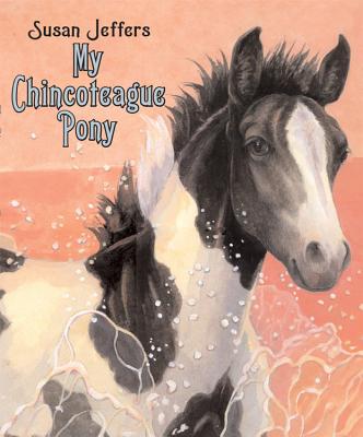 My Chincoteague Pony - 