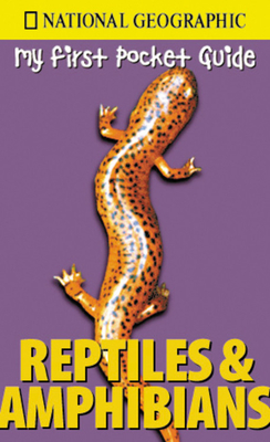 My First Pocket Guide Reptiles and Amphibians - Kirshner, S
