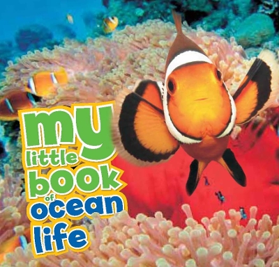 My Little Book of Ocean Life - de le Bdoyre, Camilla