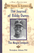 My Name Is America: The Journal of Biddy Owens, Birmingham, Alabama, 1948