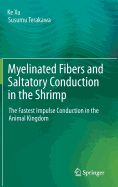 Myelinated Fibers and Saltatory Conduction in the Shrimp: The Fastest Impulse Conduction in the Animal Kingdom