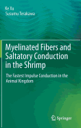 Myelinated Fibers and Saltatory Conduction in the Shrimp: The Fastest Impulse Conduction in the Animal Kingdom - Xu, Ke, and Terakawa, Susumu