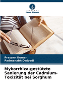 Mykorrhiza-gest?tzte Sanierung der Cadmium-Toxizit?t bei Sorghum