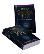 NAB Catholic Serendipity Bible: New American Bible: For Personal and Small Group Study