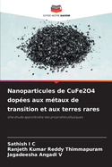 Nanoparticules de CuFe2O4 dop?es aux m?taux de transition et aux terres rares