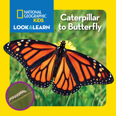 National Geographic Kids Look and Learn: Caterpillar to Butterfly - National Geographic Kids